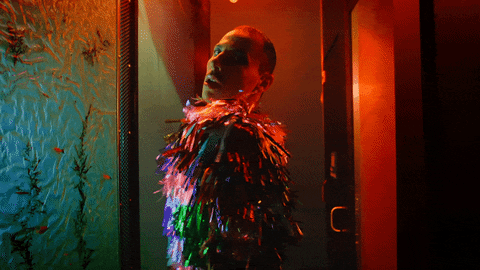 Ding Dong Dancing GIF by Ding Dong I'm Gay