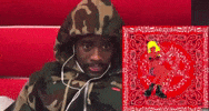 Album Amp GIF