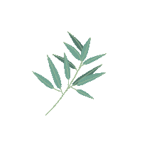 Withb eucalyptus wheatbelt with b Sticker