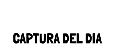 Sustainability Pesca Sticker