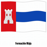 Bandera Granada GIF by Formación Ninja