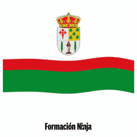 Bandera GIF by Formación Ninja
