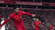 Lfc Watford GIF by Liverpool FC