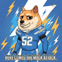 Shiba Inu Football GIF by Doge Pound