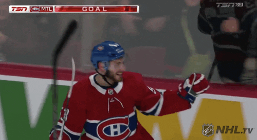 Ice Hockey Sport GIF by NHL