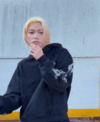 Stray Kids Felix GIF