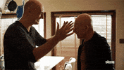 season 1 kiss GIF by Blunt Talk