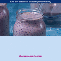 BlueberryCouncil giphyupload smoothie blueberry gabob GIF
