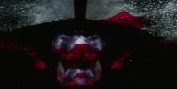 GIF by vrt