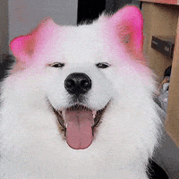 yuri redear GIF