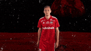 Robin GIF by SO CHOLET