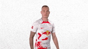Come On No GIF by RB Leipzig