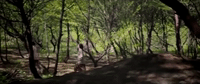 hanung bramantyo film GIF