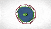 Go Green United Nations GIF by Angry Birds