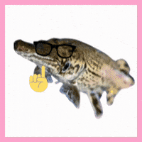 Fish Meme GIF by Furrend