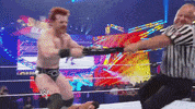 wwe sports wwe wrestling 2010 GIF