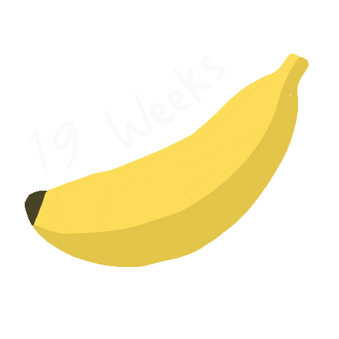 Pregnancy Weeks Sticker
