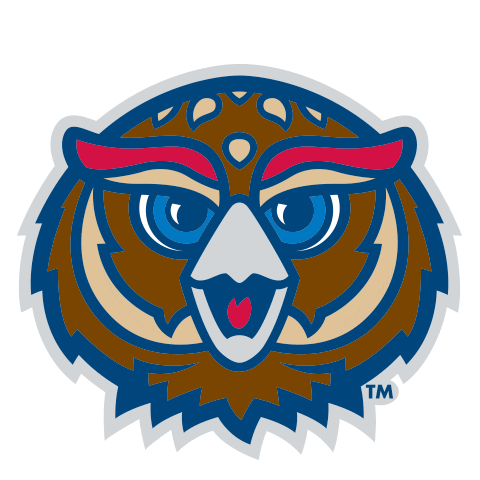 Wink Fau Owls Sticker by Florida Atlantic University