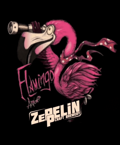 Zeppelincraftbrewery giphyupload craftbeer flamingo zeppelin GIF