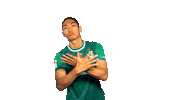 Park Sticker by SV Werder Bremen