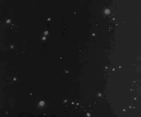 Season 1 Twilight Zone Original GIF by Paramount+