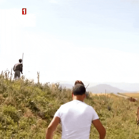 Run Come GIF by TRT