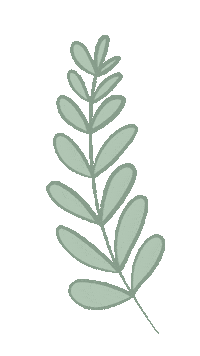 Plant Leaf Sticker