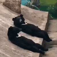 Whats Up Hello GIF