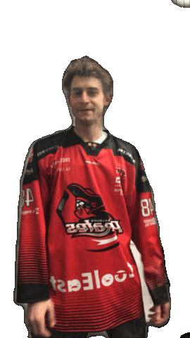 Hockey Player Pirates Sticker by AalborgPirates
