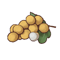 Dragon Eye Longan Sticker