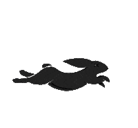 Pace Sticker by Pacemaker Products