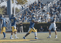 College Sports Football GIF by Delaware Blue Hens