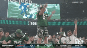 Regular Season Football GIF by NFL