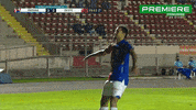 CanalPremiere brasileiro parana brasileirao serie b GIF
