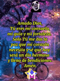 Necesita La Paz GIF by Murcianys LLC