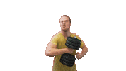 lifelion dance like nice swipe up Sticker