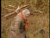 Snuls mort malaise les snuls vieille GIF