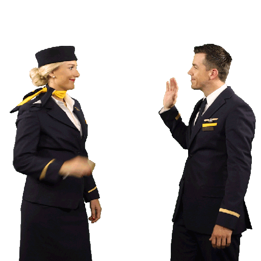 Teamwork Sticker by Lufthansa Group Communications