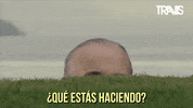 Que Pasa George Clooney GIF by Travis