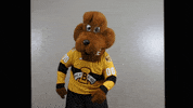 BdnWheatKings kings brandon willie wheat GIF