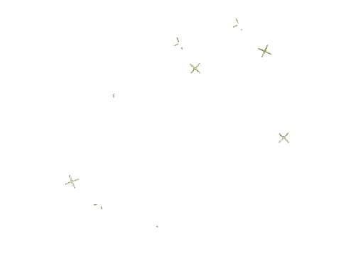 Stars Sparkle Sticker