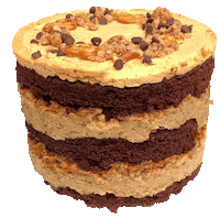 chocolate chip Sticker by foodbabyny