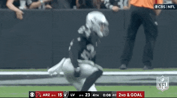 Las Vegas Raiders Football GIF by NFL