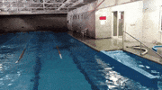 earthquake GIF