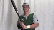 Collegebaseball Ncaadii GIF by RiverHawk Sports