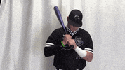 Collegebaseball Ncaadii GIF by RiverHawk Sports