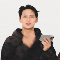 Kim Mingyu Buzzfeed Celeb GIF