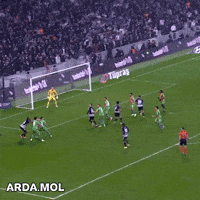 Ardamol GIF