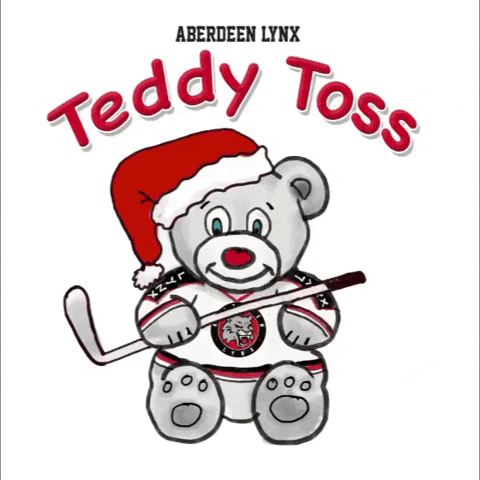 Scottish Ice Hockey GIF by Aberdeen Lynx Ice Hockey