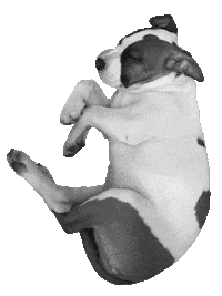 Logo Monday Sticker by We-go